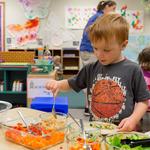 Hatchlings Rochedale Early Learning Centre - photo 1