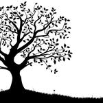 Treecutter Ltd - photo 1