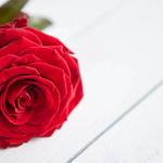 Paul Young Funeral Directors - photo 4