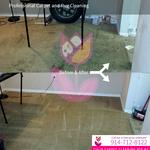 Tulip Carpet Cleaning Rye NY - photo 1