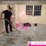 Tulip Carpet Cleaning Rye NY - photo 8