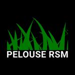 Pelouse RSM - photo 1