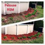 Pelouse RSM - photo 3
