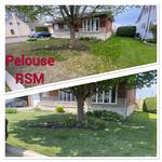 Pelouse RSM - photo 4
