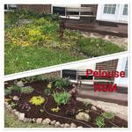 Pelouse RSM - photo 6