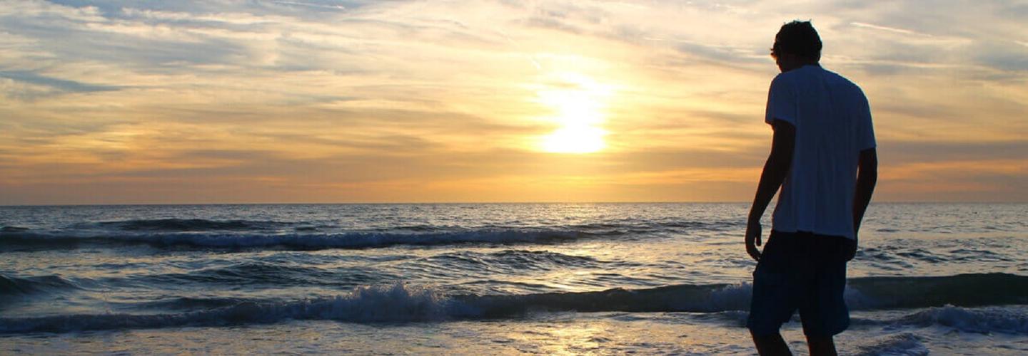 Spring Gardens Recovery cover photo