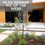 Master Landscapers of SA - photo 2