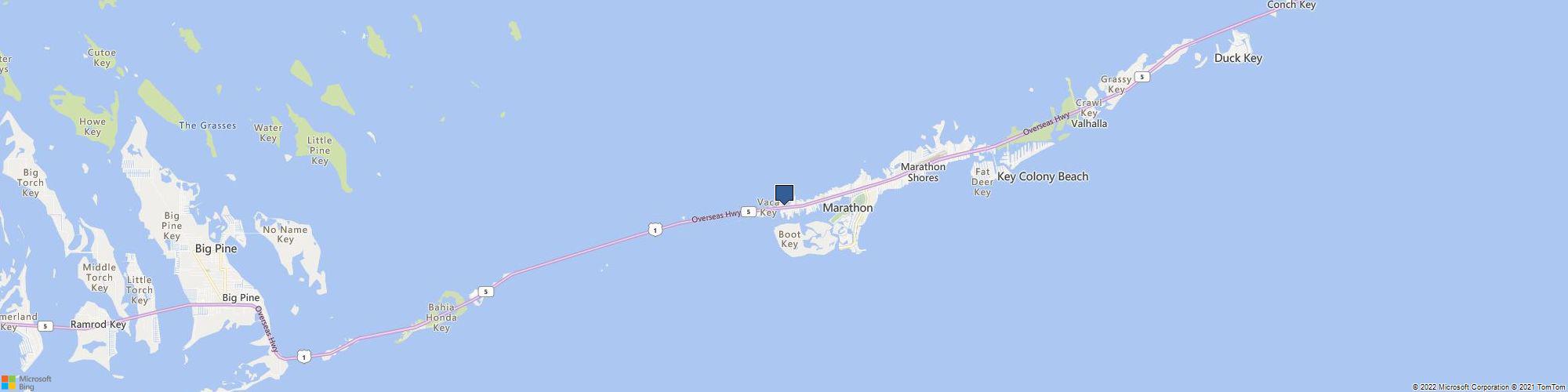 Sea Dog Marathon FL Fishing Charters cover photo