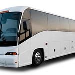 Majestic Limos - photo 10