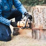 SI Carreño - photo 1