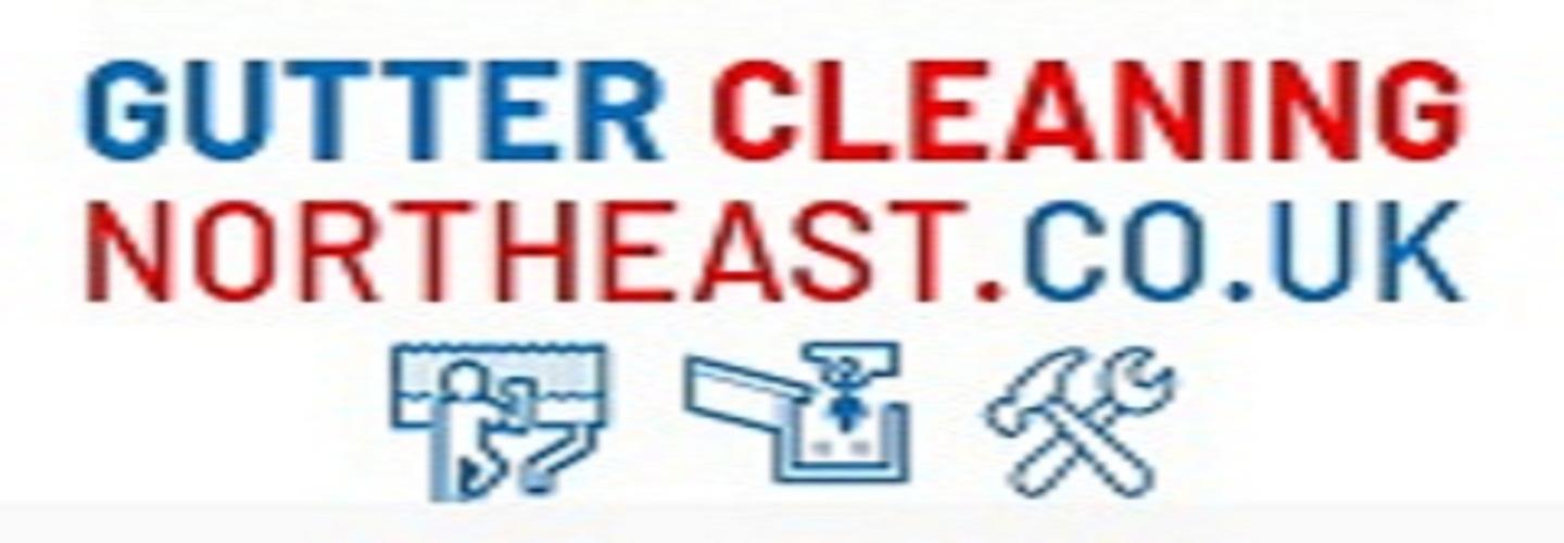 Gutter Cleaning Northeast cover photo