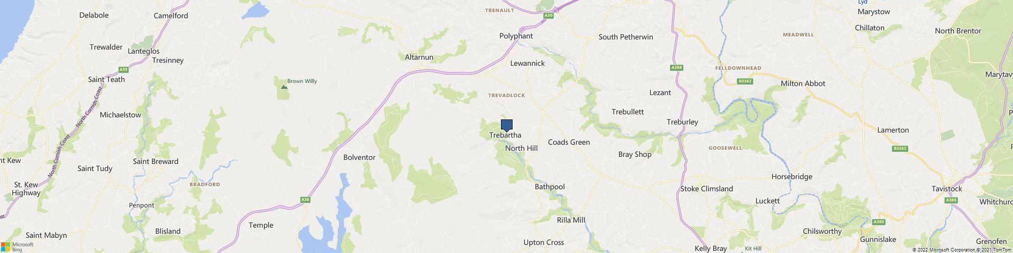 Pups And Paws South Devon cover photo