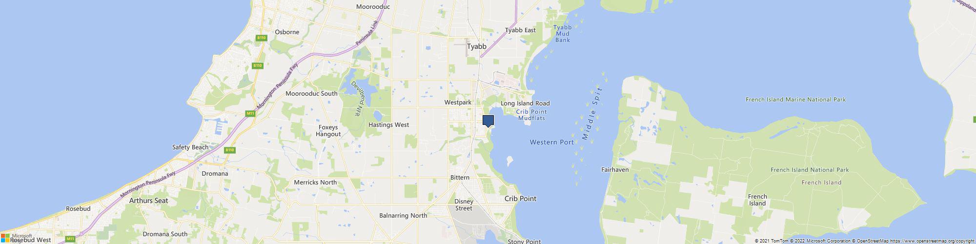 Ace Fishing Charters cover photo