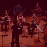 PeakPerformanceTours - photo 2