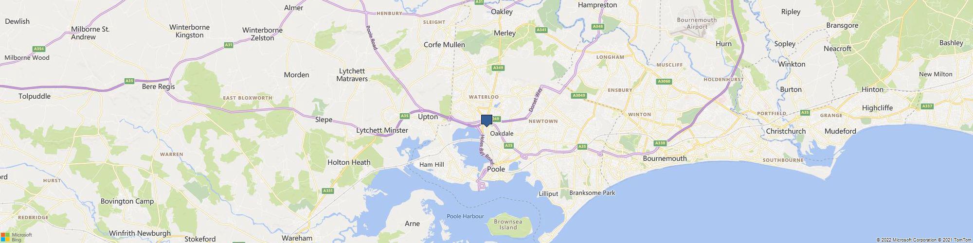 MoveFree Therapy cover photo