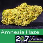 207 Hydro Farms - photo 2