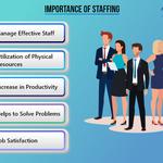 Tekshapers Solutions IT Web App Development Company - photo 4