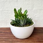 The Indoor Plant Co - photo 2