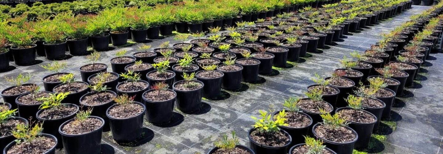 Able Nursery cover photo