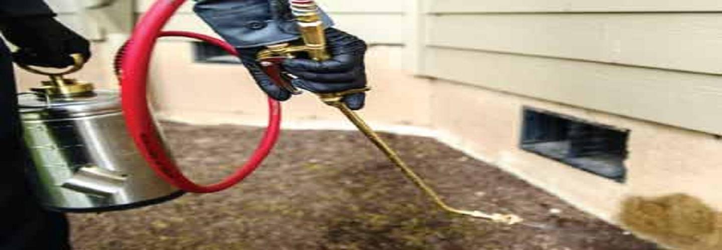 Exit Pest Control Adelaide cover photo