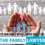 The Family Lawyer - photo 4