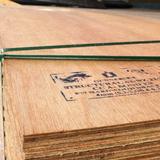 Rexpaine - Construction Equipment in Melbourne