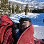 Seren CBD Store, CBD Oils, Gummies, Topicals, Pet Products - photo 2