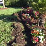ProGreen Landscaping & Pavers Naples FL - photo 2