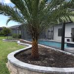 ProGreen Landscaping & Pavers Naples FL - photo 3