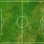 Turf Of America - photo 2