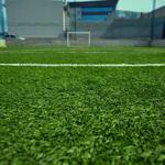 Turf Of America - photo 3