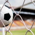 Nets of America - photo 1