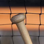 Nets of America - photo 5