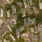 Dolphin Media - photo 1