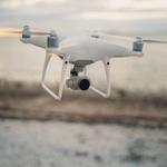 Dolphin Media - photo 6