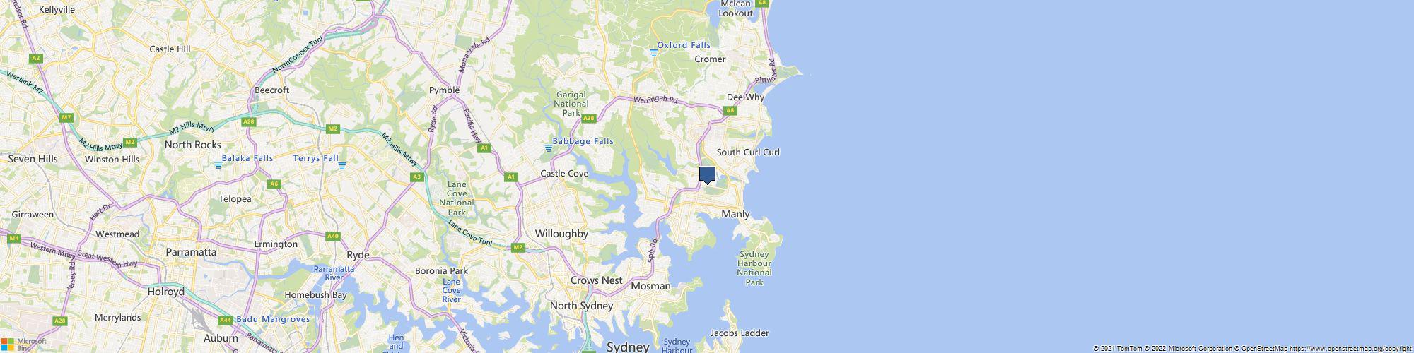 Spicy Broccoli Media cover photo