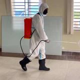 Cbd Pest Control Adelaide