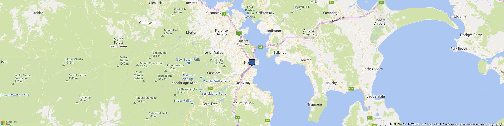 Bee Wasp Removal Hobart cover photo