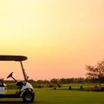 Fairway Golf Car Mobile Services - photo 4