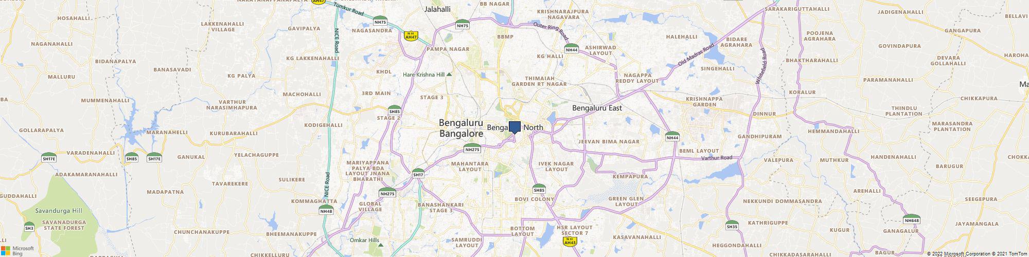 Nutty Yogi cover photo