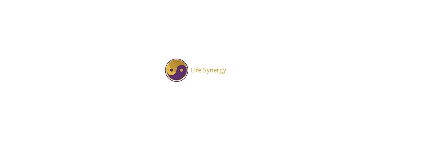 Life Synergy Retreat cover photo
