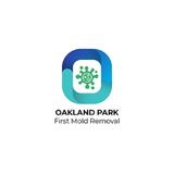 Oakland Park First Mold removal - Water Parks in Oakland Park
