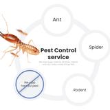 CBD Pest Control Melbourne