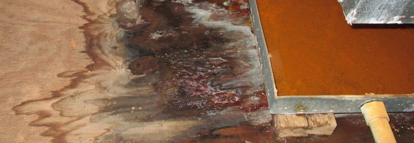 Mold Experts of South Bend cover photo