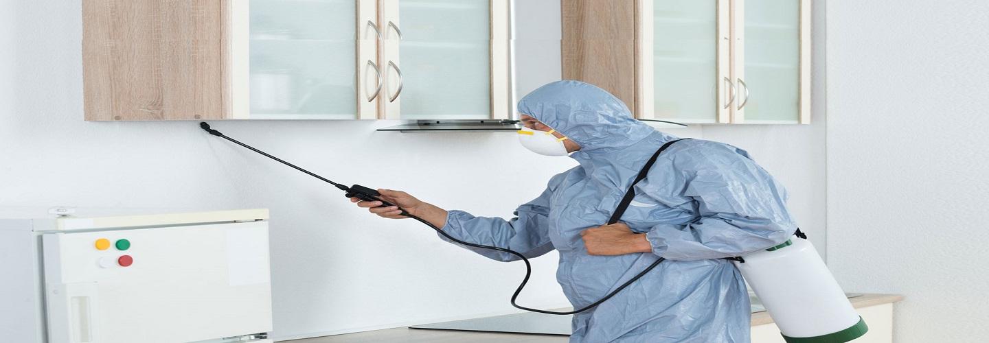 247 Pest Control Hobart cover photo