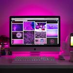 BitBranding - photo 1