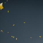 InterCar and Van Service - photo 2