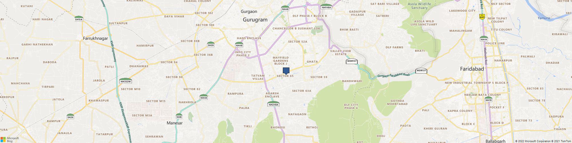 Rooted Actives cover photo