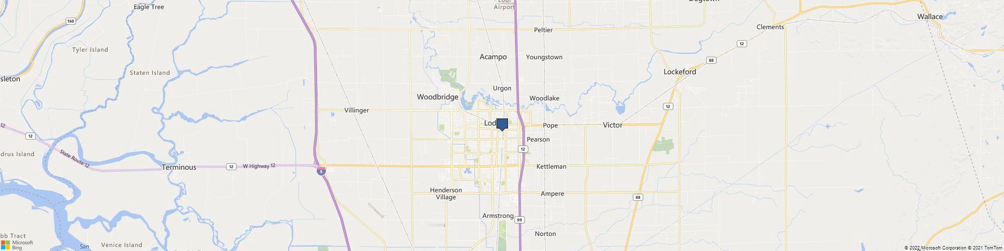 Psychedelic Hives cover photo