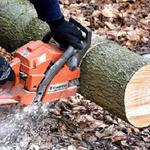 Oakview Tree Surgeons - photo 4